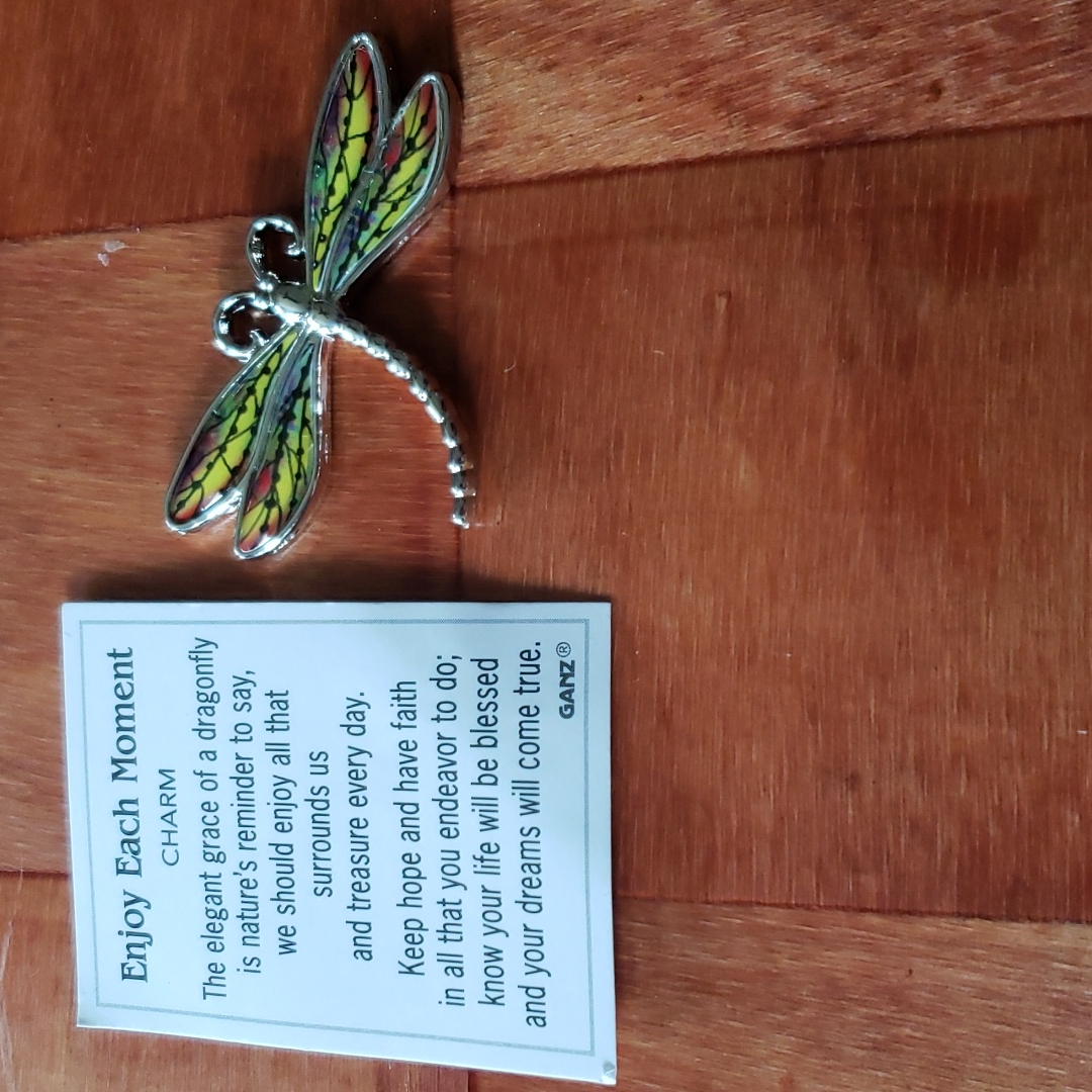 Ganz Dragonfly Pocket Charm Faith 10$